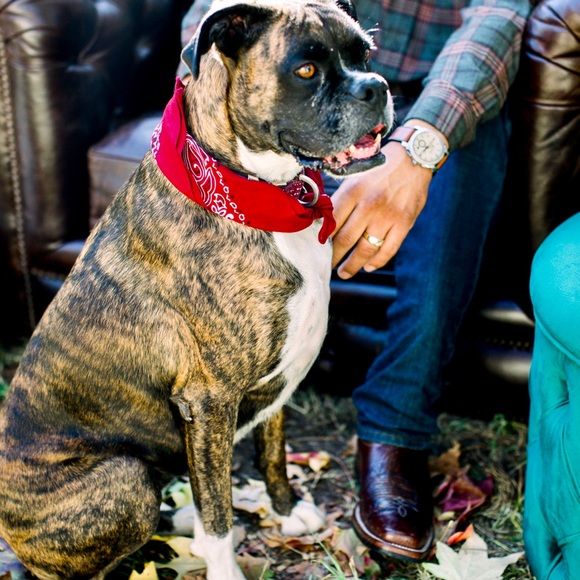 Meet your Posher, Alex - Picture 1 of 1